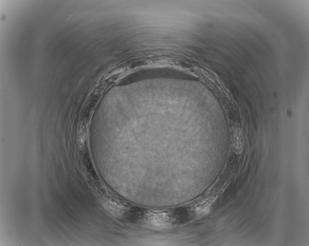 X0000087690701200705181755