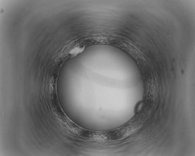 X0000087690702200705181755