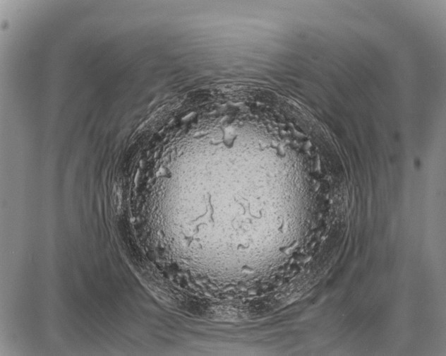 X0000087690703200705181755