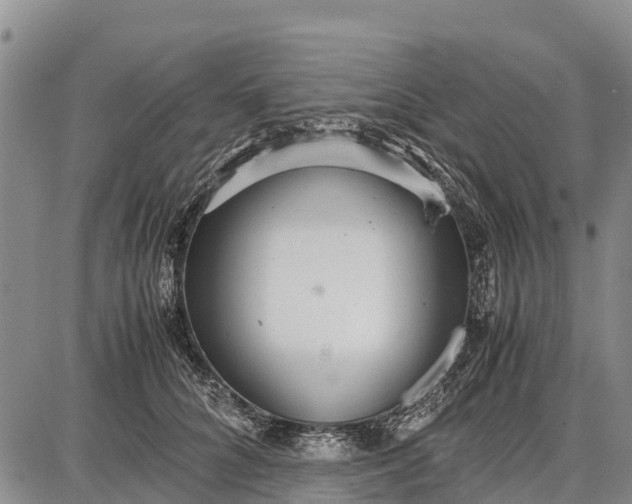 X0000087690704200705181755