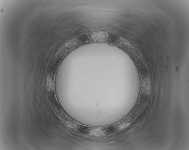 X0000087690705200705181755