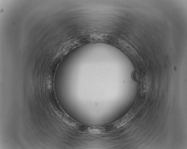 X0000087690706200705181755