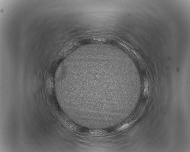 X0000087690707200705181755