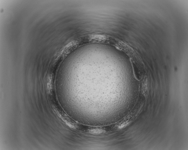 X0000087690708200705181755