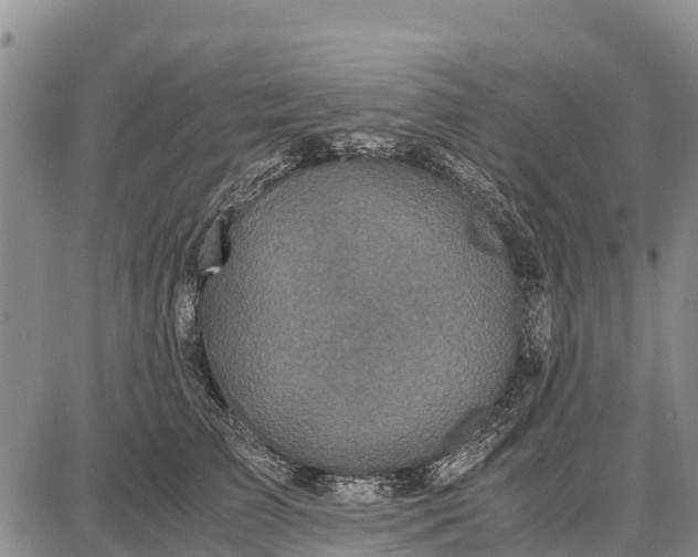 X0000087690709200705181755