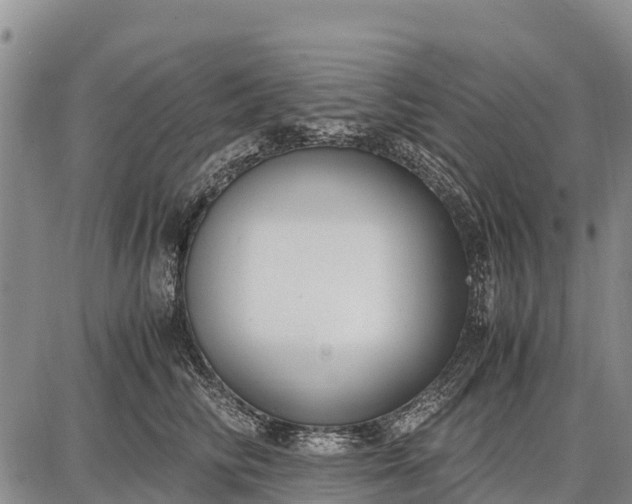 X0000087690710200705181755