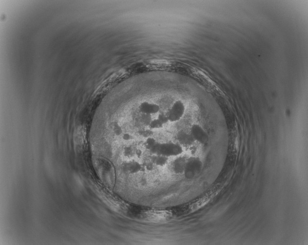 X0000087690711200705181755