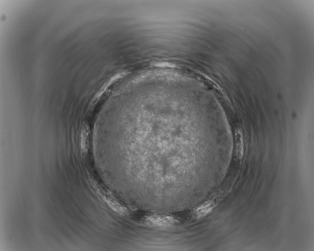 X0000087690712200705181755