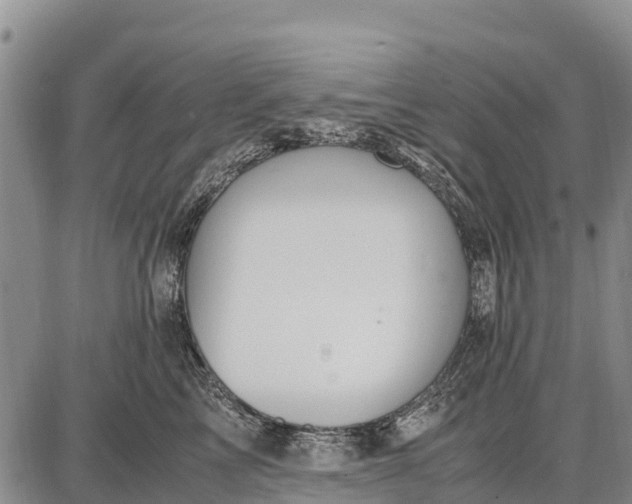 X0000087690713200705181755