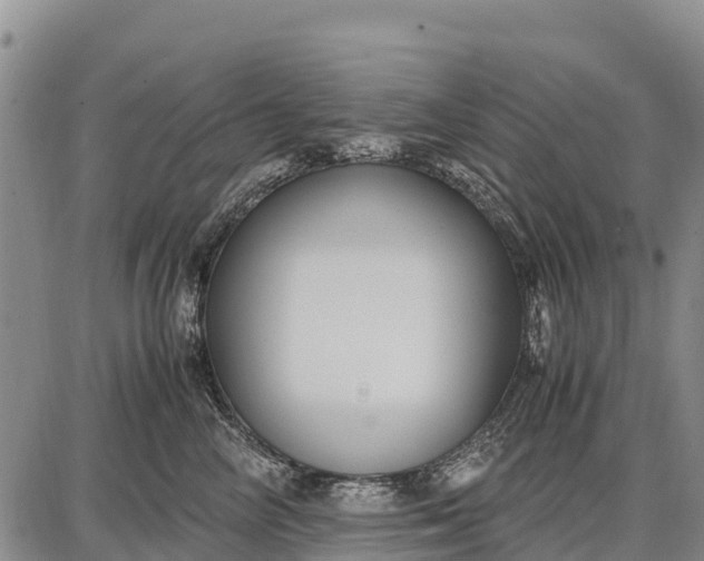 X0000087690714200705181755