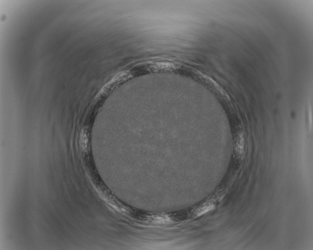 X0000087690715200705181755