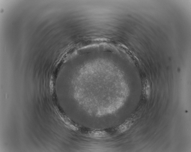 X0000087690716200705181755