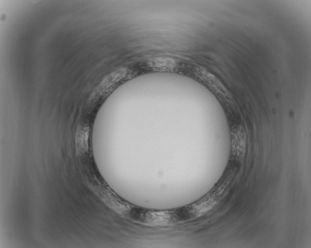 X0000087690717200705181755