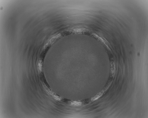 X0000087690718200705181754