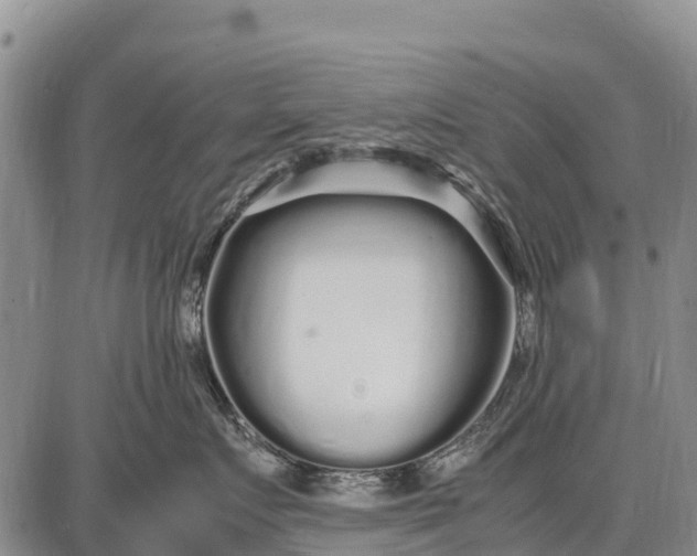 X0000087690719200705181754