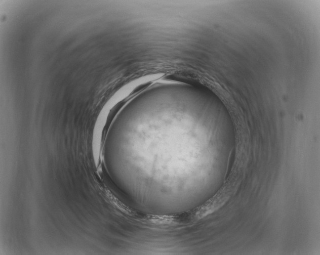 X0000087690720200705181754