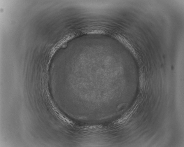 X0000087690721200705181754