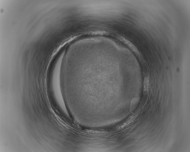 X0000087690722200705181754