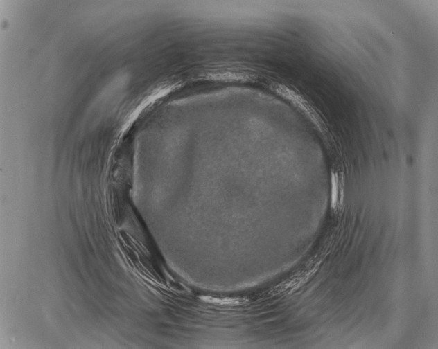 X0000087690723200705181754