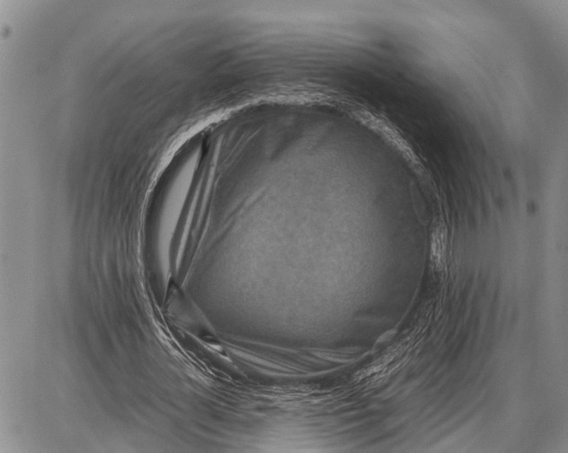 X0000087690724200705181754