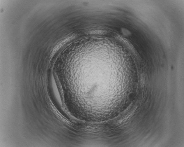 X0000087690725200705181754