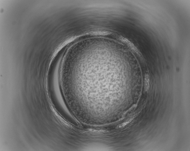 X0000087690726200705181754