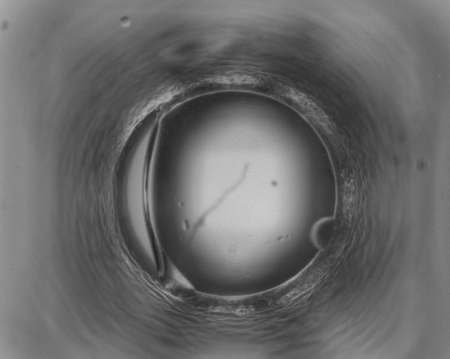 X0000087690727200705181754