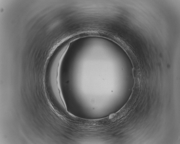 X0000087690728200705181754