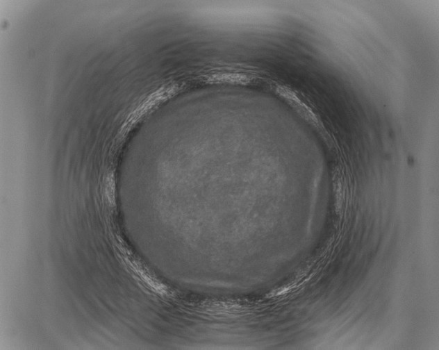 X0000087690729200705181754