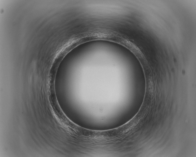 X0000087690730200705181754