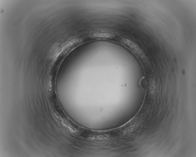 X0000087690731200705181754