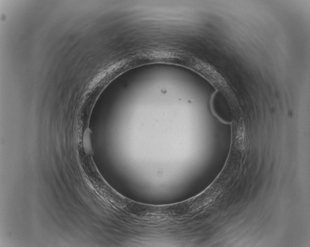 X0000087690732200705181754