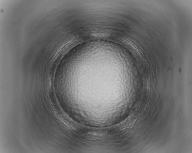 X0000087690733200705181754