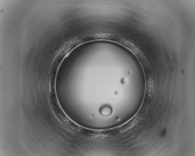 X0000087690734200705181754