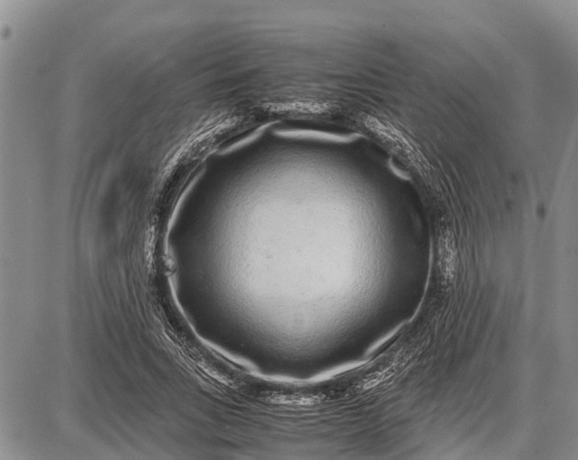 X0000087690735200705181754