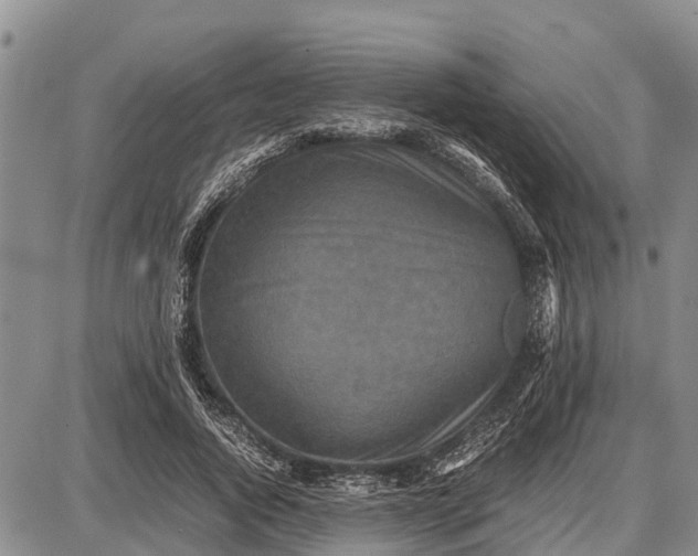 X0000087690736200705181754