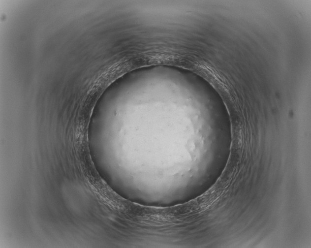 X0000087690737200705181754