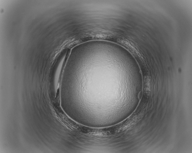 X0000087690738200705181754