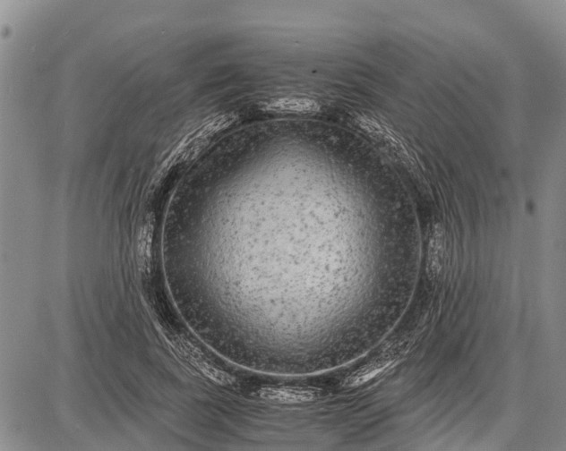 X0000087690739200705181754