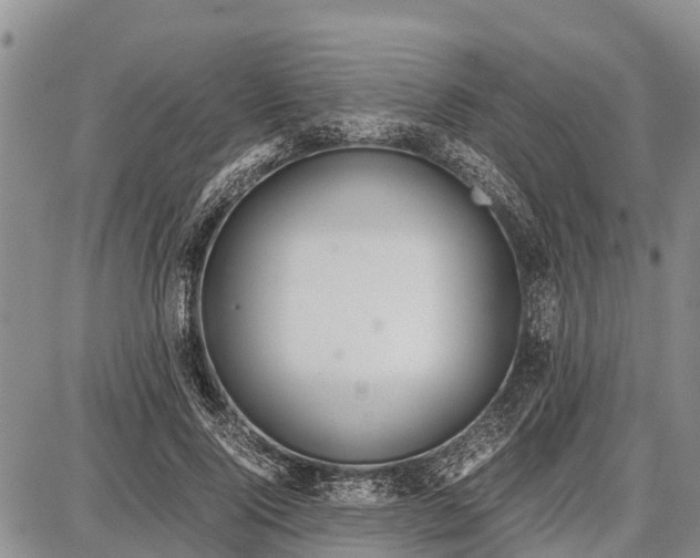 X0000087690740200705181754