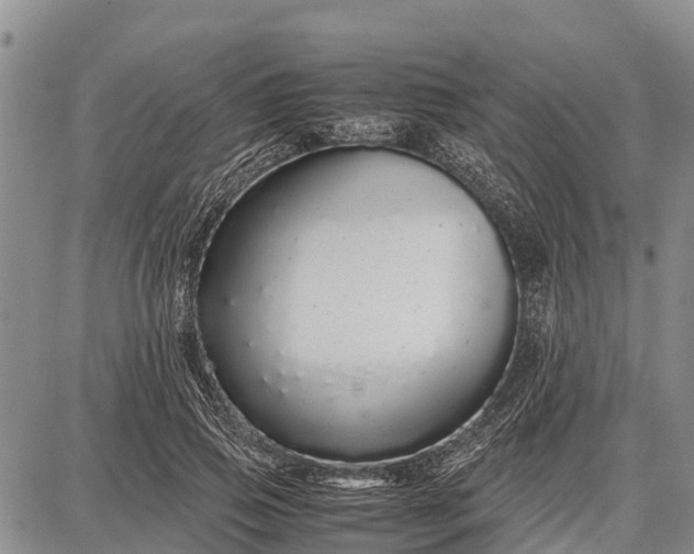 X0000087690741200705181754