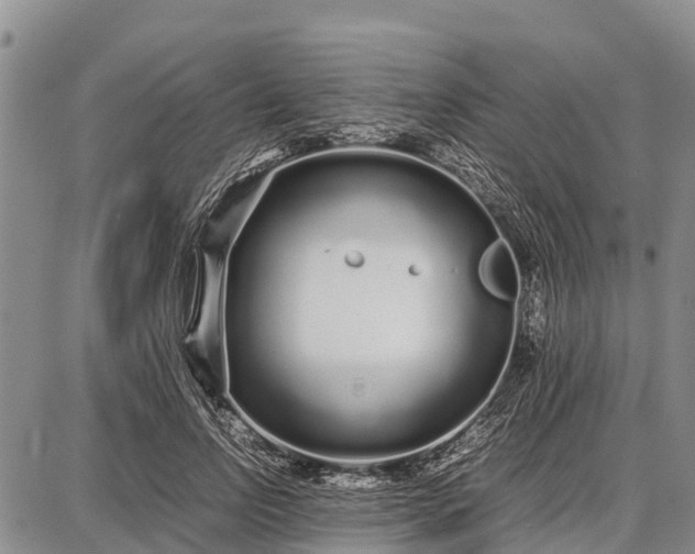 X0000087690742200705181754