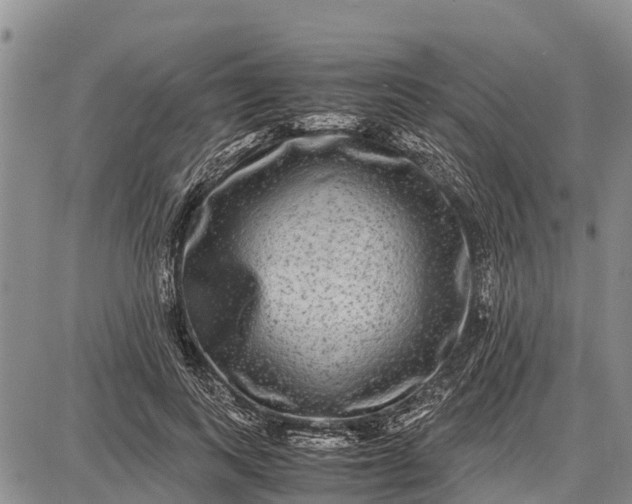 X0000087690743200705181754