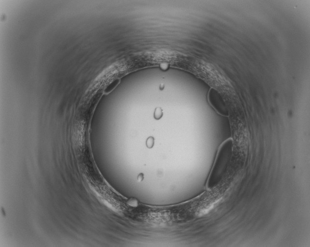 X0000087690744200705181754