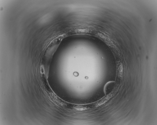 X0000087690746200705181754