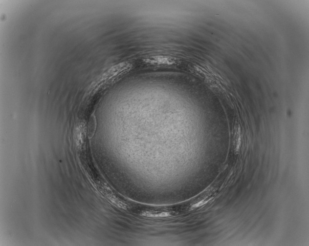 X0000087690747200705181754