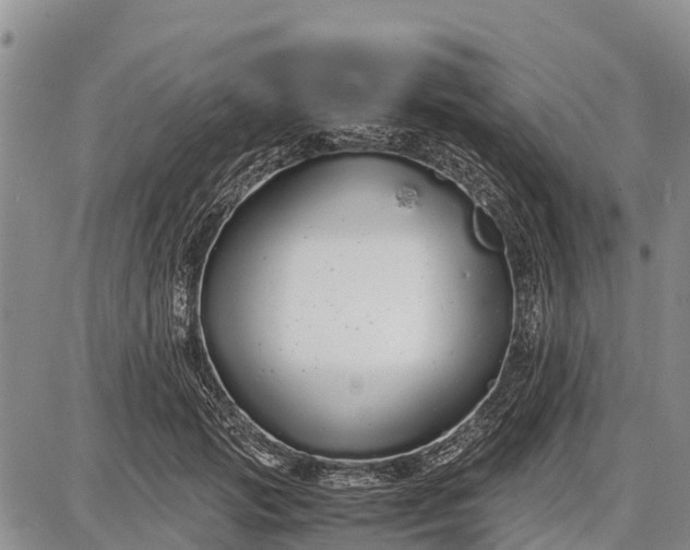 X0000087690749200705181754