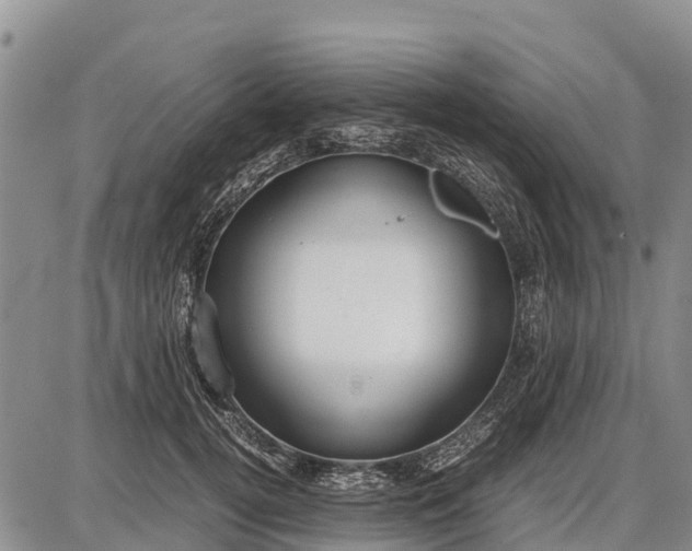 X0000087690752200705181754