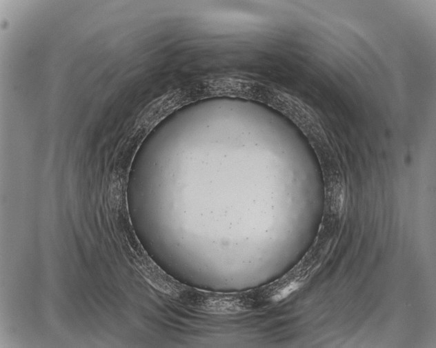 X0000087690753200705181754