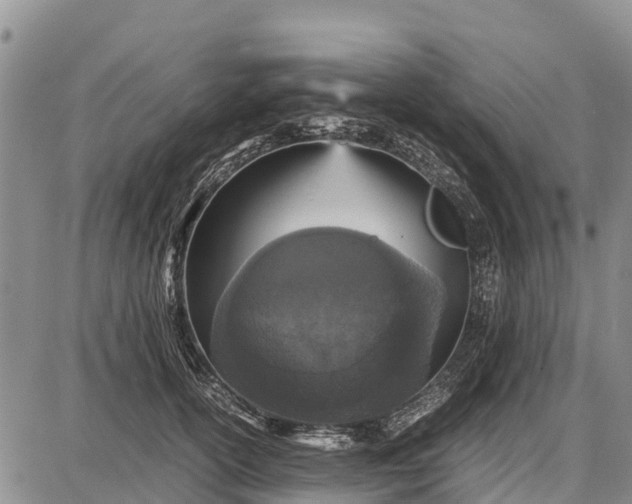 X0000087690754200705181754